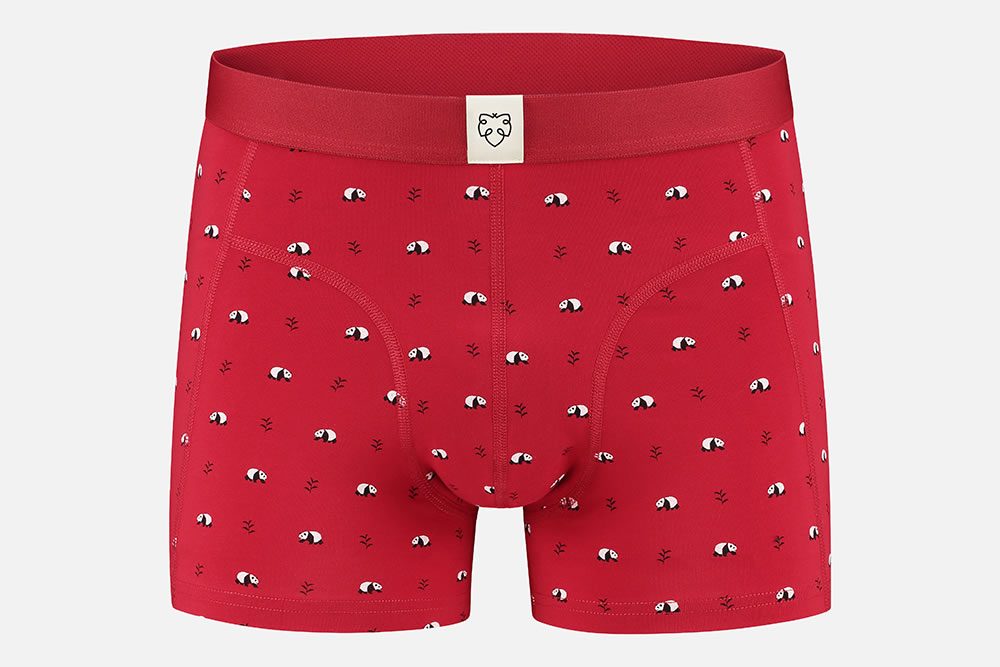 A-dam - BOXERBRIEF RAY Underwears on labotte