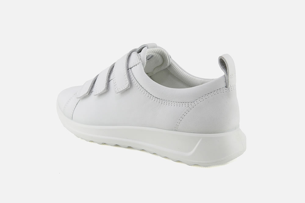 Ecco RUNNER SCRATCH BLANC Sneakers labotte