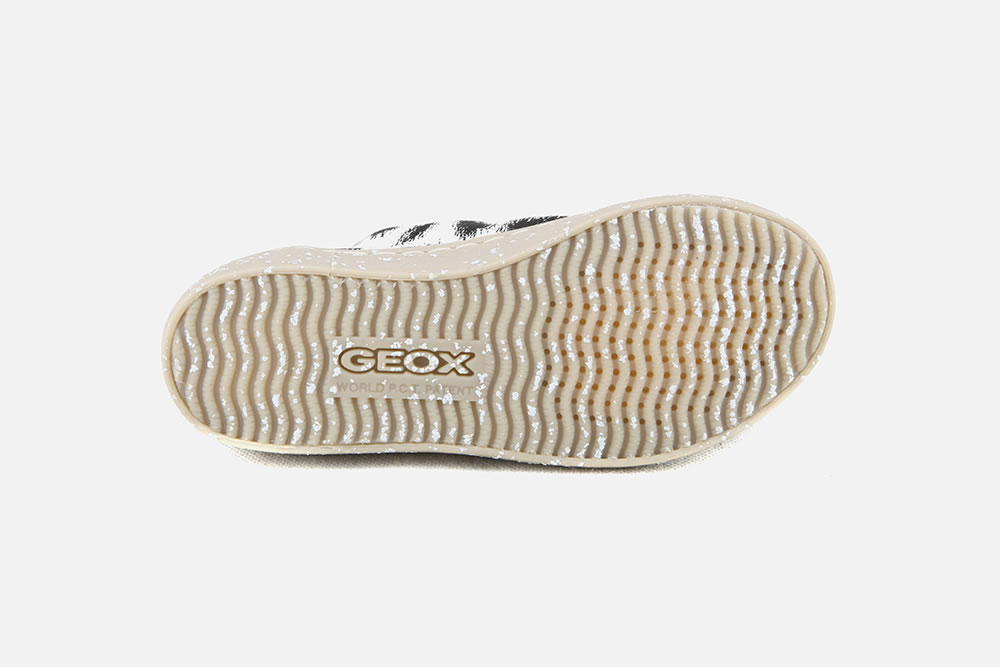Geox canvas shoes discount