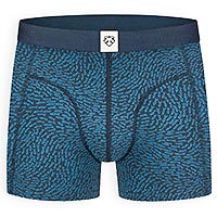 BOXERBRIEF BLUE FISH - A-dam