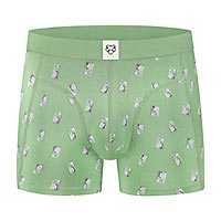 BOXERBRIEF GREEN CALCULATOR - A-dam