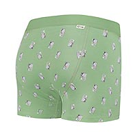 BOXERBRIEF GREEN CALCULATOR - A-dam