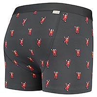 BOXERBRIEF JOACHIM - A-dam