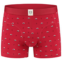 BOXERBRIEF RAY - A-dam