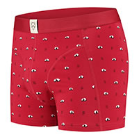 BOXERBRIEF RAY - A-dam