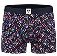 BOXERBRIEF TED - A-dam