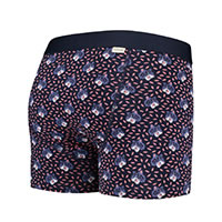 BOXERBRIEF TED - A-dam