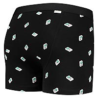 BOXERBRIEF THE BOYS - A-dam