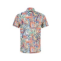 CHEMISETTE TROPICAL SKETCH MULTICOLOR - A Fish Named Fred