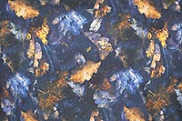 SHIRT AUTUMN LEAVES NAVY - A Fish Named Fred