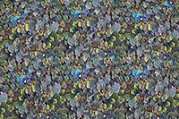 SHIRT FROZEN LEAVES GREEN - A Fish Named Fred