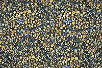 SHIRT TREE TRUNKS GOLD YELLOW - A Fish Named Fred