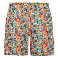 SWIMSHORT AFNF TOWN MULTI - A Fish Named Fred