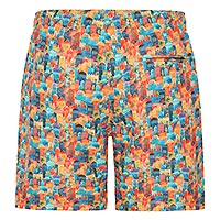 SWIMSHORT AFNF TOWN MULTI - A Fish Named Fred
