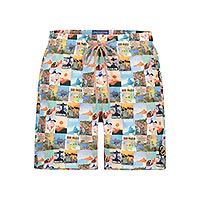 SWIMSHORT BRAZIL POSTERS MULTI - A Fish Named Fred