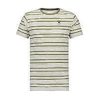 TSHIRT STRIPED GREEN - A Fish Named Fred
