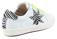 BLOGGY BLANC ZEBRA - Acebos