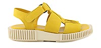 IXORRY JAUNE - Arche
