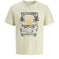 CALI TSHIRT CELADON TINT - Jack & Jones