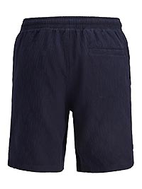 JPSTJAIDEN WAVY JOGGER SHORTS REG SKY CAPTAIN - Jack & Jones