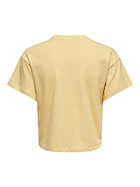 ONLBELLA SS FRUIT TOP BOX SUNBURST STELLA - Only