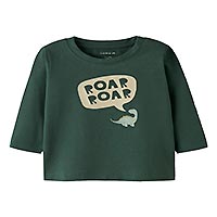 ROAR ROAR DINO GREEN - Name it