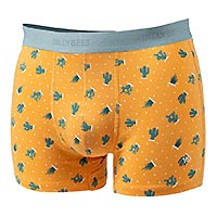 BOXER SAGUARO - Billybelt