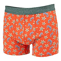 BOXER SEAHORSE ORANGE - Billybelt