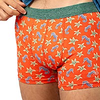 BOXER SEAHORSE ORANGE - Billybelt