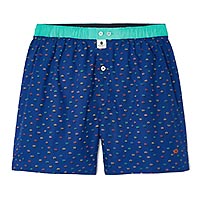 CALECON BILLY POP - Billybelt