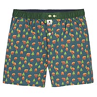 CALECON BROWN BEAR - Billybelt