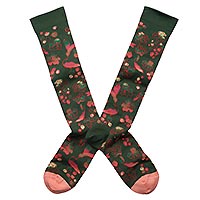 RAISINS FORET MIBAS  - Bonne Maison