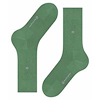 DUBLIN VERT - Burlington