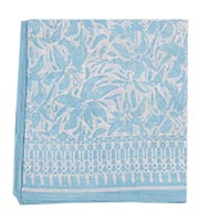 FOULARD ARONA BLEU CIEL - Colores de Otono