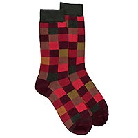 ECHIQUIER 509479 H AUBERGINE - Doré Doré