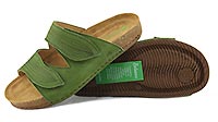 BALANCE LEAVES GREEN - El Naturalista