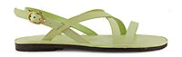 TULIP CROSS LIGHT SUN - El Naturalista