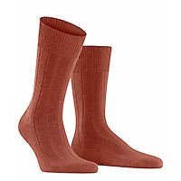 LHASA RIB TERRA - Falke