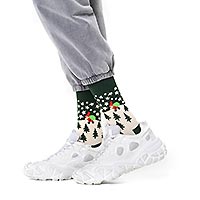 P002054 SANTA ON THE WAY HS - Happy Socks