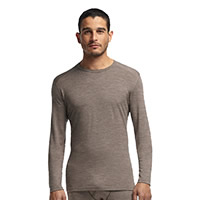 OASIS LS CREW TRAIL GRIS - Icebreaker