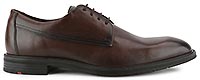 X MOTION 110 BROWN - LLOYD