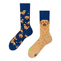 SOCKS GOLDEN BOY - Many Mornings