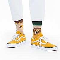 SOCKS LION AROUND - Many Mornings