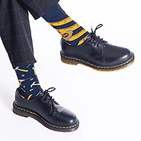 SOCKS THE HANDYMAN - Many Mornings