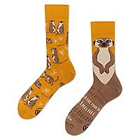 SOCKS THE MEERKAT - Many Mornings