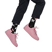 SOCKS THE POODLES - Many Mornings