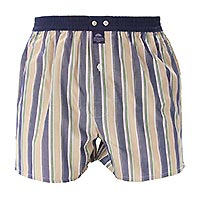 MC ALSON RAYURES MARRON VERT - McAlson