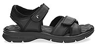 SANDERS BLACK - Panama Jack