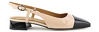 FOUGERE BLUSH NOIR - Pedro Miralles