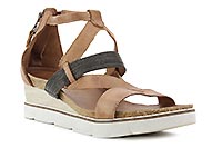 ACACIA CAMEL SH - Mjus